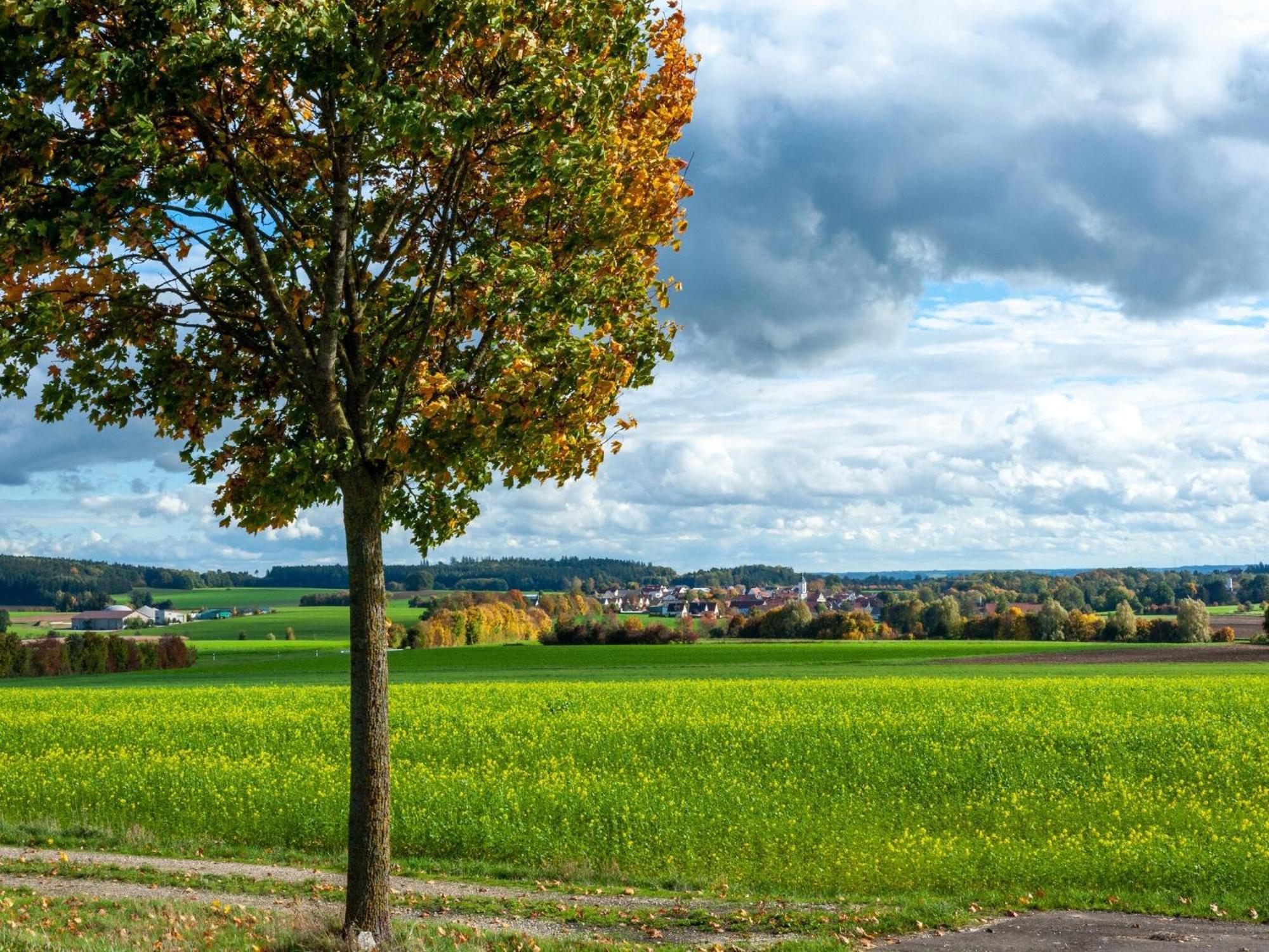 Lovely Holiday Home In Haunsheim エクステリア 写真